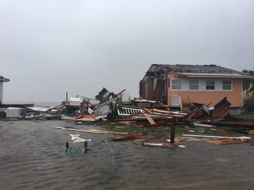 Alertan por aparición de caimanes y serpientes tras inundaciones en Texas - harvey-texas-@Jeff_Piotrowski-1-1-1024x768