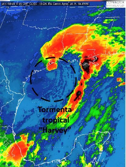 Harvey continúa desplazándose por el Golfo de México - harvey2-2