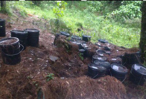 Encuentran laboratorio clandestino en Uruapan - laboratorio-michoacán