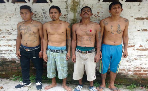 Detienen a 228 Maras Salvatrucha en Chiapas Detienen a 228 Maras Salvatrucha en Chiapas