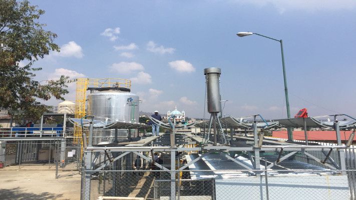 Generan energía con nopales en Milpa Alta - nopal-milpa-alta-2