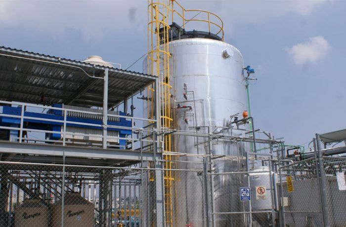 Generan energía con nopales en Milpa Alta - nopal-milpa-alta