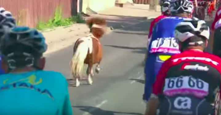 #Video Poni se cuela a carrera ciclista