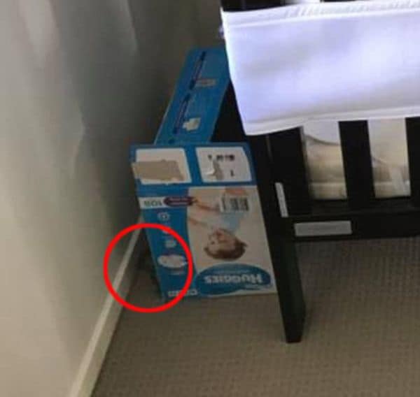 ¿Puede encontrar la serpiente en la habitación del bebé? - serpiente-cuarto-bebé