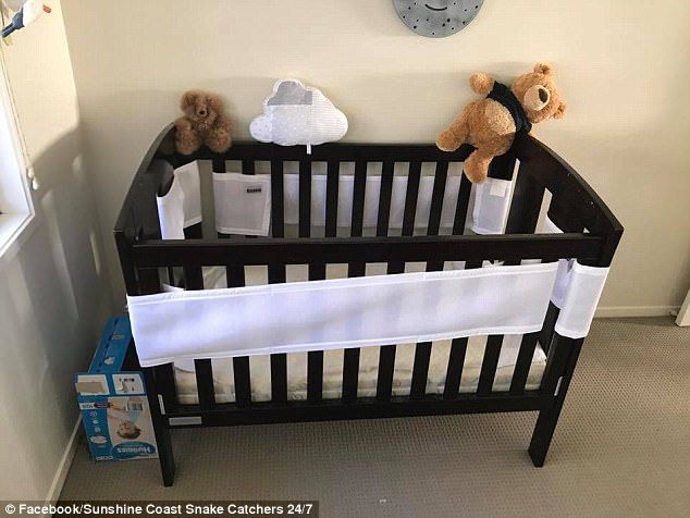 ¿Puede encontrar la serpiente en la habitación del bebé?