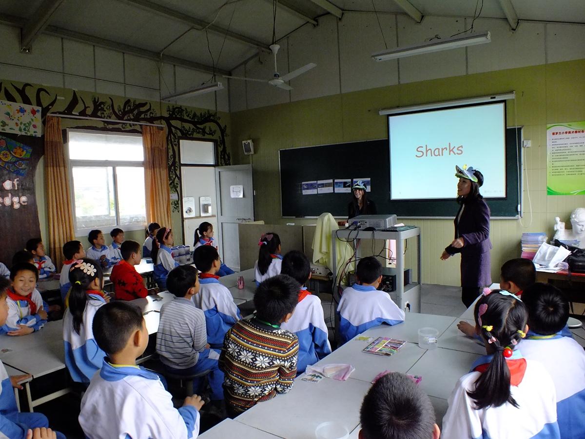 Prefieren mexicanos Tailandia y Costa Rica para voluntariados Prefieren mexicanos Tailandia y Costa Rica para voluntariados