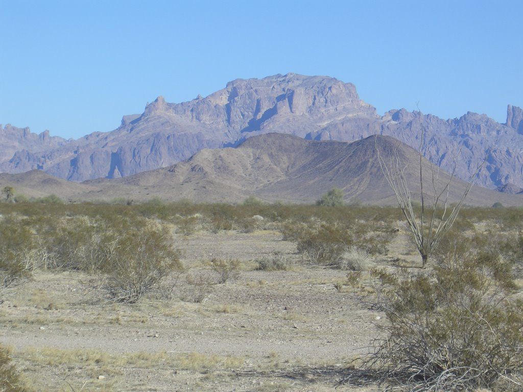 Gobierno de EE.UU. alardea eficacia en la frontera - yuma-arizona