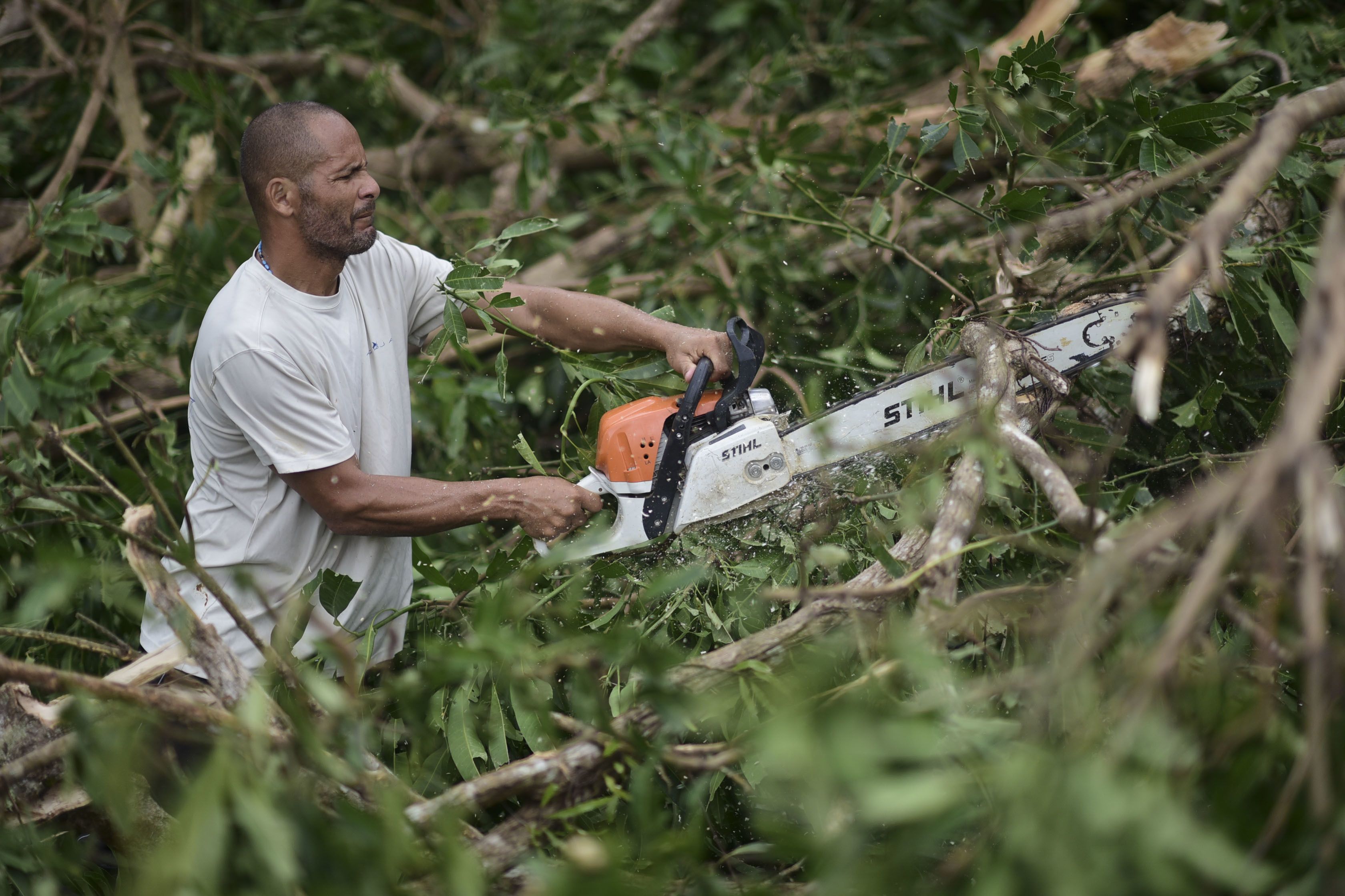 Huracán María golpea Turcas y Caicos, Puerto Rico y Dominicana - AP17265594954541
