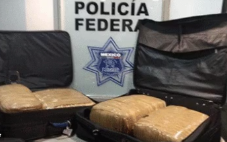 Decomisan mariguana en la Central del Norte