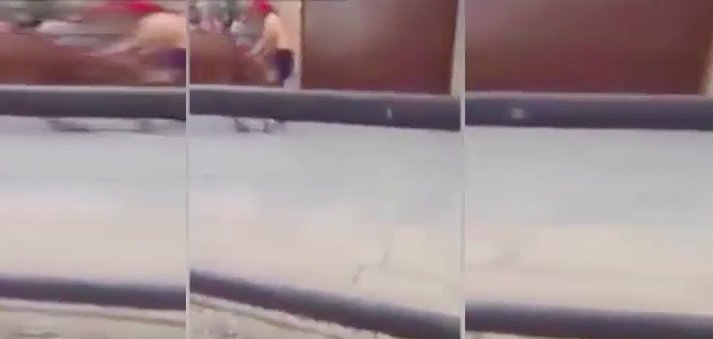 #Video Toro embiste a hombre en la calle