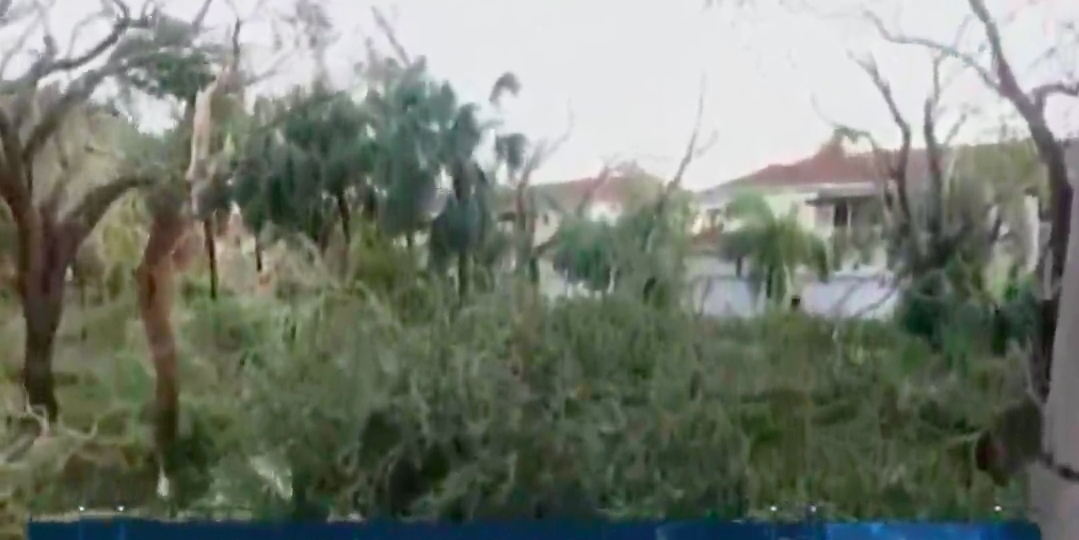 Hay relación directa entre cambio climático y huracanes: Juan Ramón de la Fuente