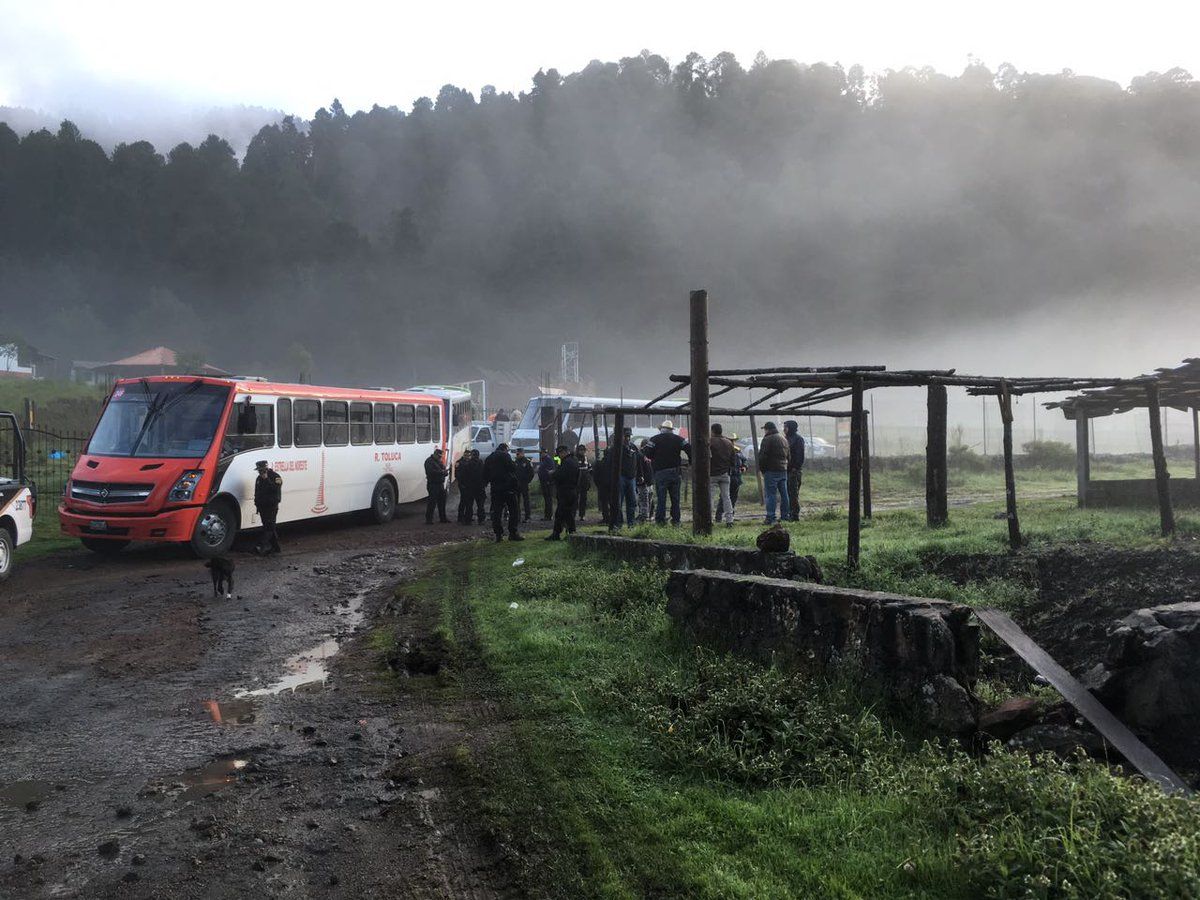 Desmantelan plantación de aguacate en Edomex