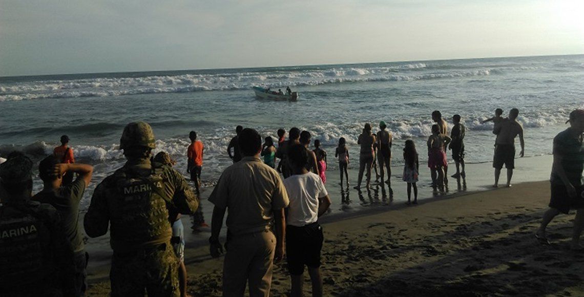 Rescatan a delfín varado en costas de Michoacán