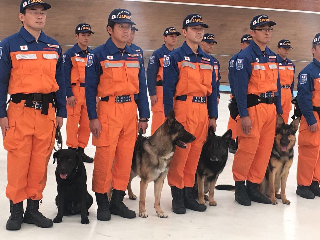México agradece solidaridad de la comunidad internacional tras sismo - Rescatistas-de-Japón-Foto-de-@SRE_mx