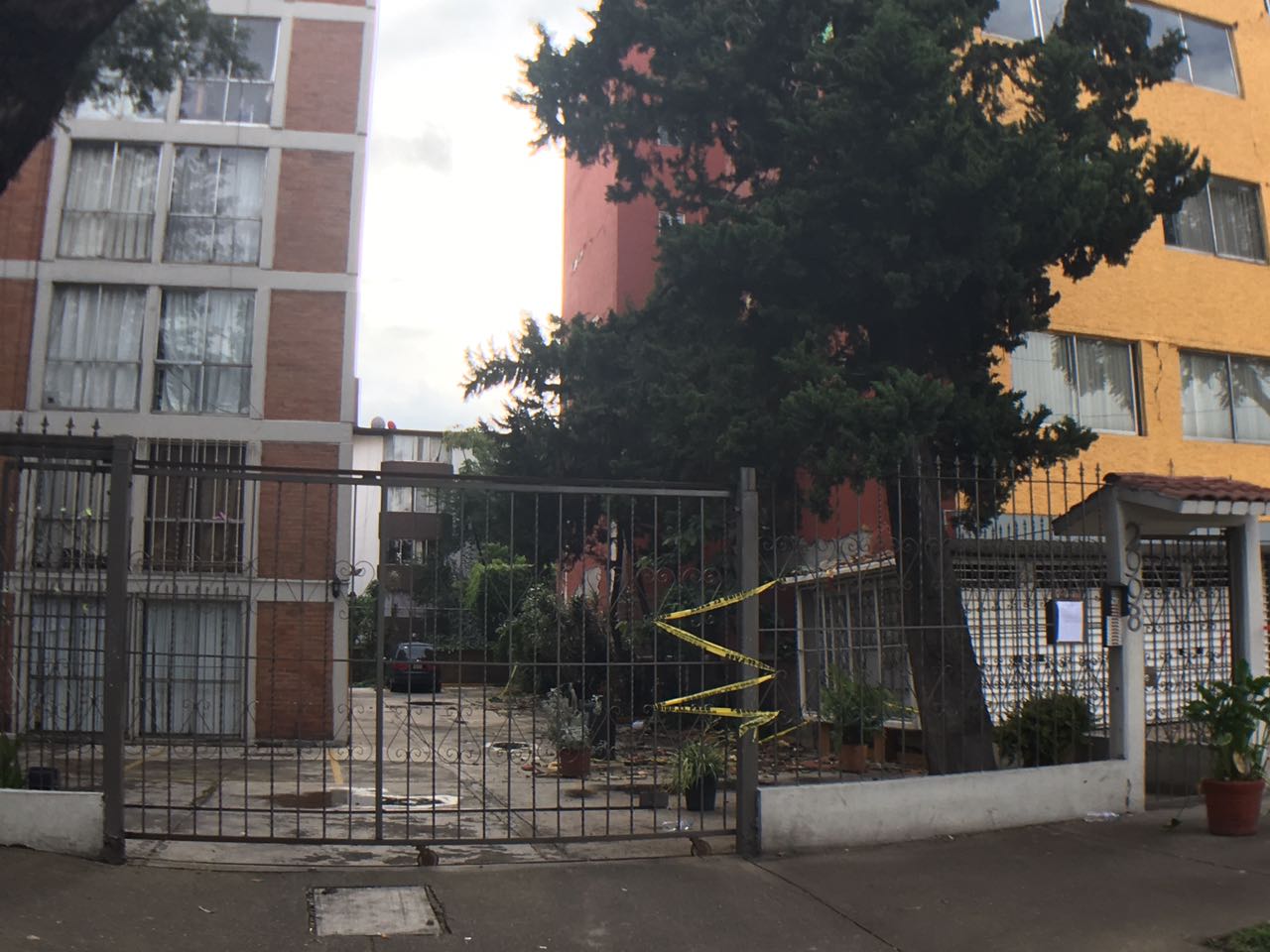 Emiten recomendaciones ante afectación de propiedades por sismos - WhatsApp-Image-2017-09-22-at-10.49.23-AM