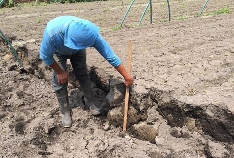 Sismo afectó zona chinampera de Xochimilco: Campesinos - Zona-Chinampera-Xochimilco-Foto-de-Milenio