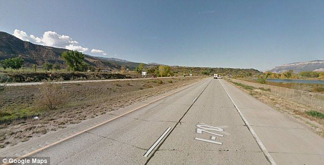 Mueren tres personas al perder el control del auto y atropellar a un oso Mueren tres personas al perder el control del auto y atropellar a un oso