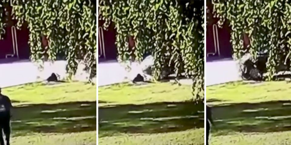 #Video Atropellan a trabajador cuando sale de alcantarilla