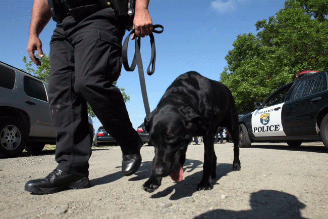 EE.UU. dona 25 perros adiestrados a México