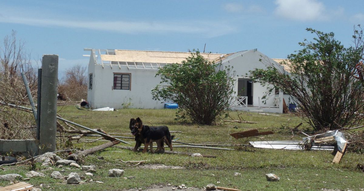 Barbuda se queda sin habitantes tras Irma - barbuda