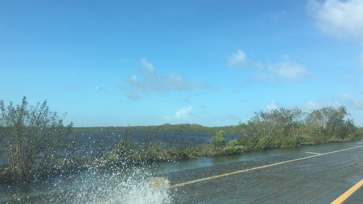 Así quedó Florida tras el paso de Irma - boris-miranda-everglades-2