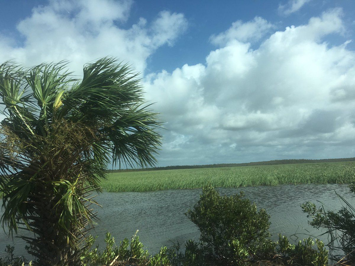 Así quedó Florida tras el paso de Irma - boris-miranda-everglades-3