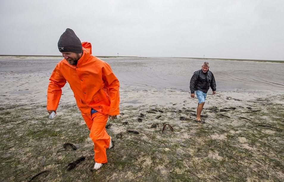 Así quedó Florida tras el paso de Irma - crawfordville-florida-gettty-e1505146232366