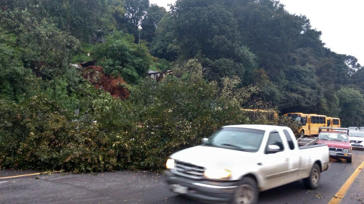 Caída de árbol provoca cierre de carriles en la México-Toluca