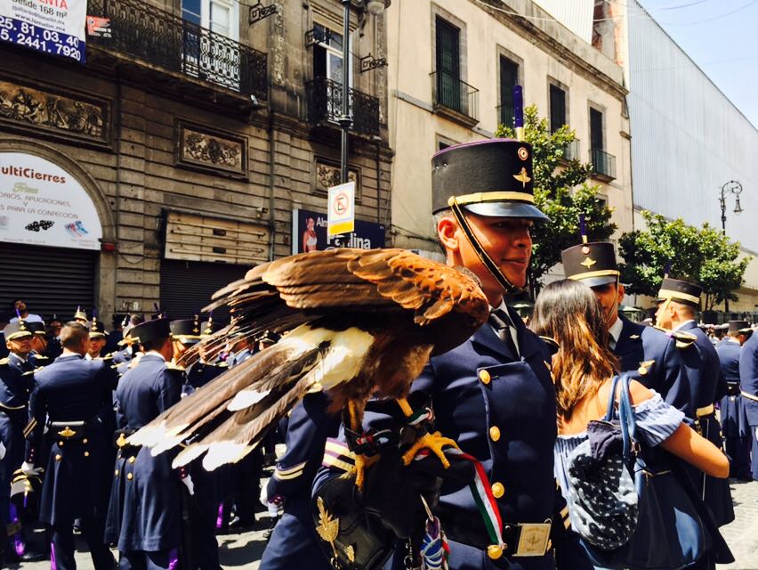 Concluye el Desfile Militar del 207 aniversario de la Independencia de México - dm16