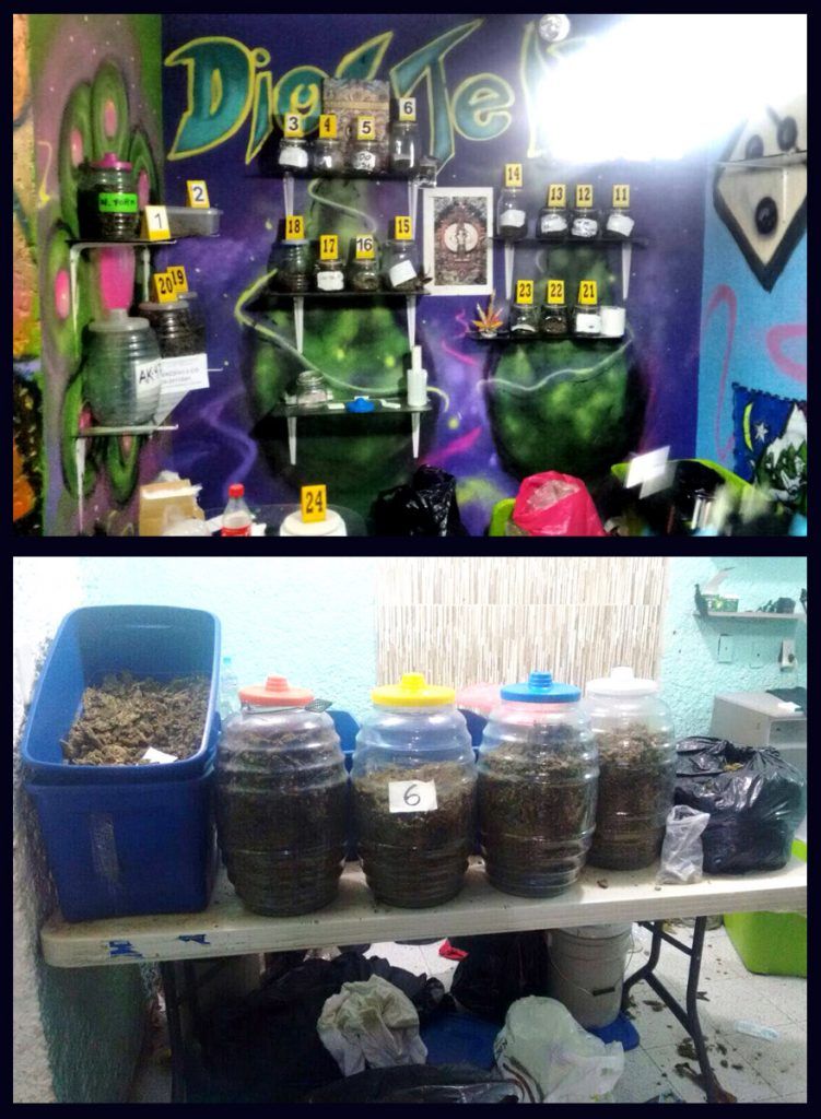 Decomisan más de 400 kilos de droga en la colonia Morelos - droga-751x1024