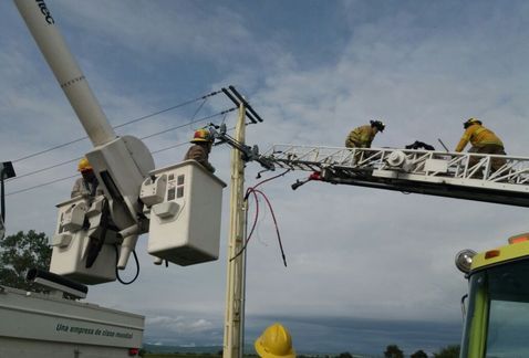 Intenta robar cable y muere electrocutado