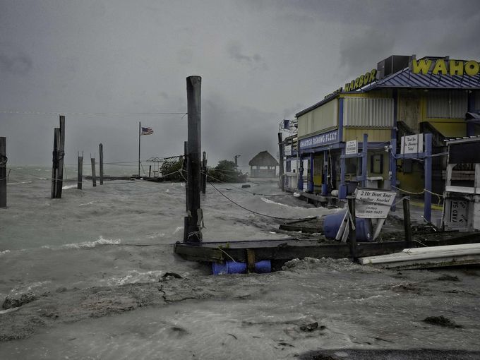 Revelan lo más buscado en Google este año por los mexicanos