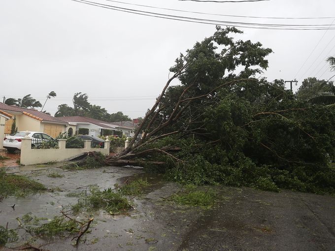 #Galeria El paso de Irma por Florida - florida-irma