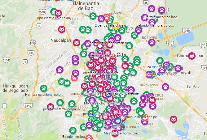 Google apoya en la localización de mascotas tras sismo