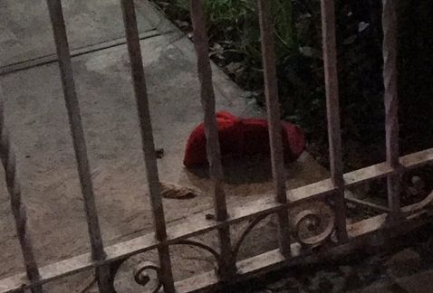 Someten a pareja de ancianos durante robo en Monterrey