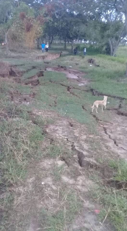 Temblor provoca grietas en Veracruz - grieta-2