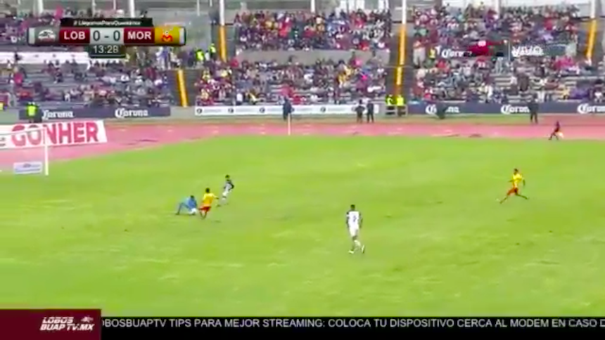 Lobos BUAP TV fue un éxito: vicepresidente del equipo - lobos-buap-tv