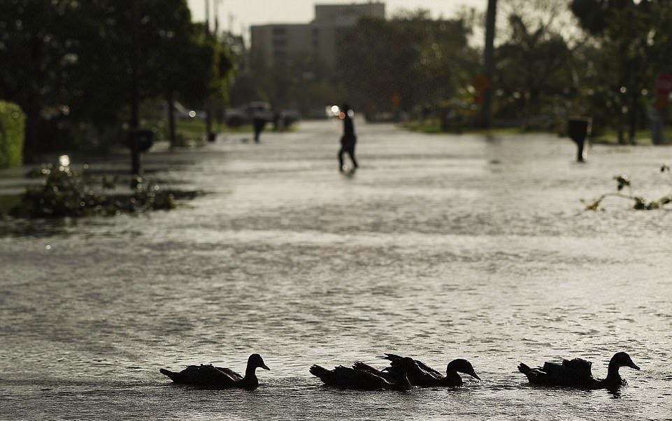 Así quedó Florida tras el paso de Irma - naples-getty-e1505146422235