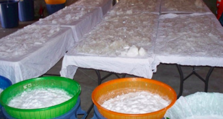 Desmantelan narcolaboratorio en León