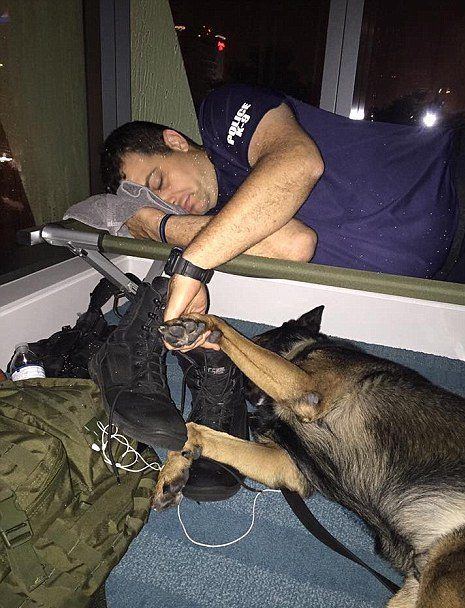 Así quedó Florida tras el paso de Irma - oficial-de-la-policía-de-Fort-Lauderdale-twitter-e1505146443853