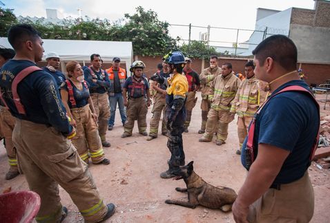 Binomios caninos de la UNAM salvan vidas