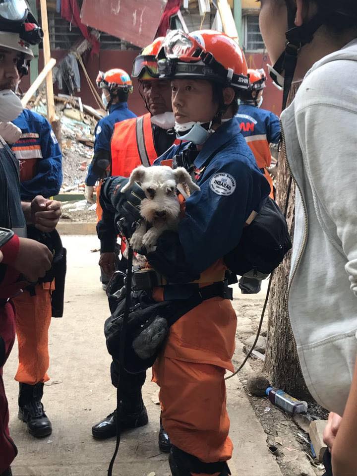 #Video Rescatan a perro en multifamiliar en Coyoacán