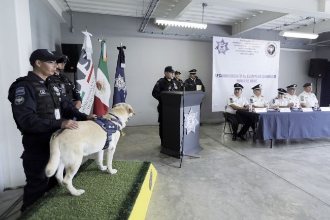 Condecoran a oficial canino retirado por enfermedad terminal - pf-canino-3