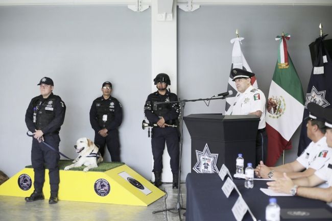 Condecoran a oficial canino retirado por enfermedad terminal - pf-canino