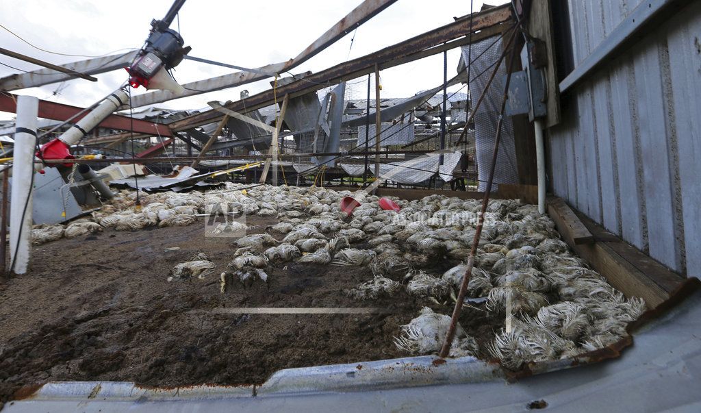 Hemos cumplido con Puerto Rico: Trump - puerto-rico-1