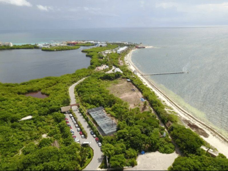 Comienzan a construir hotel en Cancún sin permiso - punta-nizuc