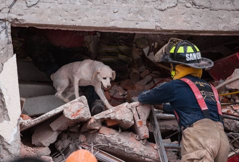 Binomios caninos de la UNAM salvan vidas - rescate-1