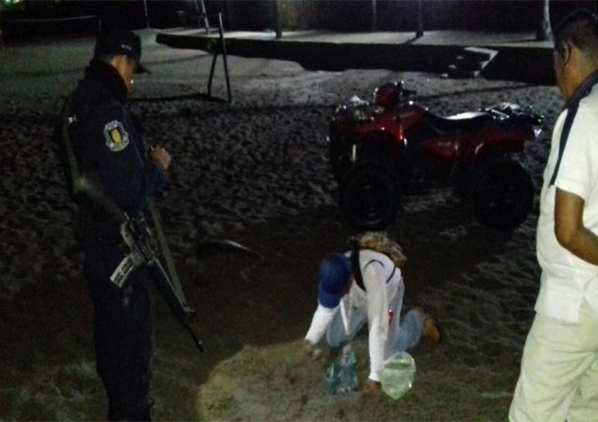 Rescatan mil 605 huevos de tortuga en Guerrero - rescate-huevos-tortuga-2