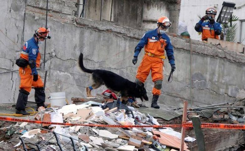 Concluyen labores de  rescate en 14 edificios