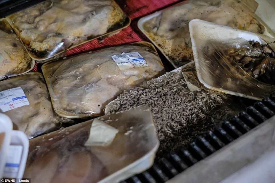 #Fotos Destrucción de la isla de San Martín tras paso de Irma - san-martin-3-1